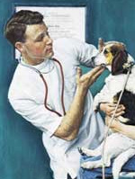 Veterinary Health & Healing